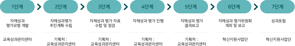 혁신지원사업 자체성과평가 추진 모형