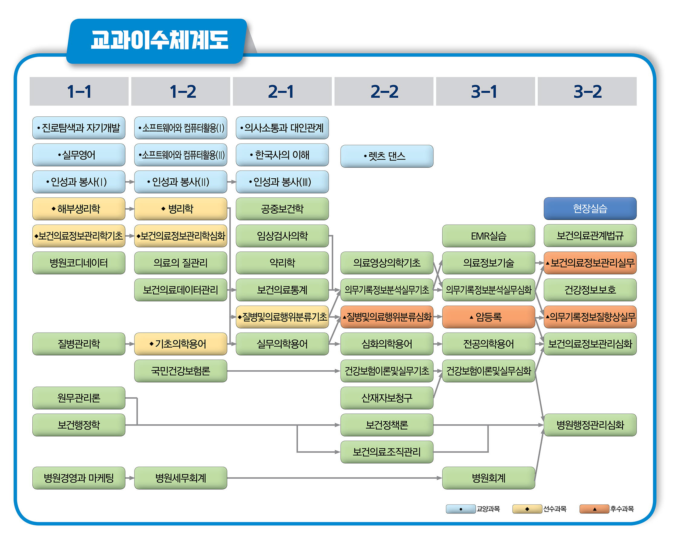 교과이수체계도

							1학년1학기 진로탐색과 자기개발(교양과목), 실무영어(교양과목), 인성과 봉사(1)(교양과목), 해부생리학(선수과목), 보건의료정보관리학기초(선수과목), 병원코디네이터, 질병관리학, 원무관리론, 보건행정학, 병원경영과 마케팅
							1학년2학기 소프트웨어와 컴퓨터활용(1)(교양과목), 소프트웨어와 컴퓨터활용(2)(교양과목), 인성과봉사(2)(교양과목), 병리학(선수과목), 보건의료정보관리학심화(선수과목), 의료의 질관리, 보건의료데이터관리, 기초의학용어(선수과목), 국민건강보험론, 병원세무회계
							2학년1학기 의사소통과 대인관계(교양과목), 한국사의 이해(교양과목), 인성과 봉사(3)(교양과목), 공중보건학, 임상검사의학, 약리학, 보건의료통계, 질병및의료행위분류기초(선수과목), 실무의학용어
							2학년2학기 렛츠 댄스(교양과목), 의료영상의학기초, 의무기록정보분석실무기초, 질병및의료행위분류심화(후수과목), 심화의학용어, 건강보험이론및실무기초, 산재자보청구, 보건정책론, 보건의료조직관리
							3학년1학기 EMR실습, 의료정보기술, 의무기록정보분석실무심화, 암등록(후수과목), 전공의학용어, 건강보험이론및실무심화, 병원회계
							3학년2학기 현장실습, 보건의료관계법규, 보건의료정보관리실무(후수과목), 건강정보보호, 의무기록정보질향상실무(후수과목), 보건의료정보관리심화, 병원행정관리심화